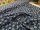Beach Design Jersey Dunkelblau