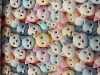 Sweat Stoff Cats Digital Druck