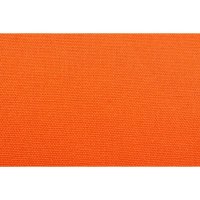 Canvas Orange