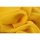 Chiffon Light Yellow