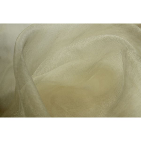 Organza Champagne