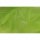 Organza Lime