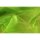 Organza Green