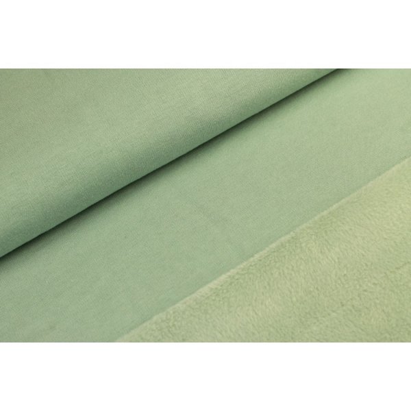 Alpenfleece Light Old Green